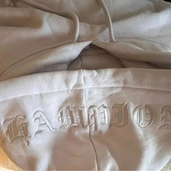 Brand New Champion Reverse Weave Hoodie Sweatshirt. Light purple. Size 2x - Picture 2 of 3